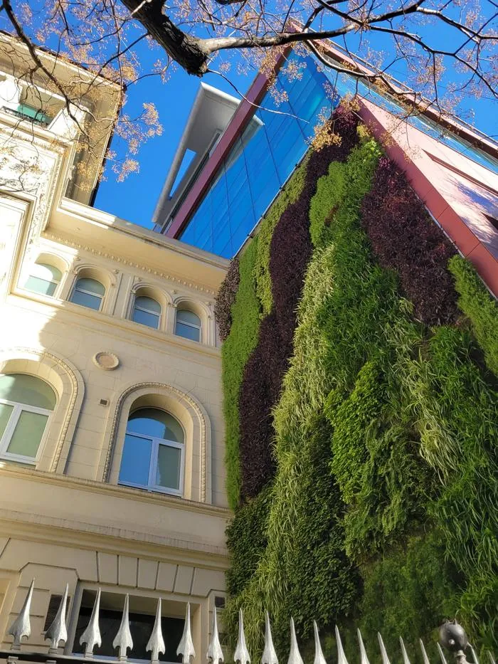 Muro vegetal sobre un edificio, visto desde abajo